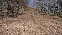 resize2751