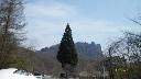 resize2995