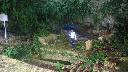resize3248