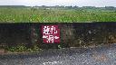 resize3285