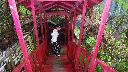 resize3288