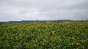 resize3296