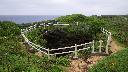 resize3308