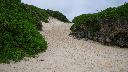 resize3338