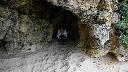 resize3342
