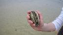 resize3399