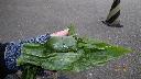 resize3685
