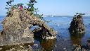 resize3728