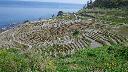 resize3748