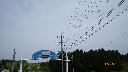 resize3763