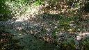 resize4064