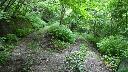 resize6093