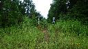 resize6246