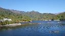 resize10364