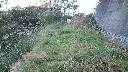 resize10371