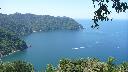 resize12757